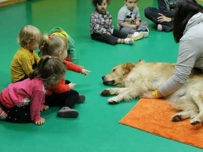 La pet education negli asili